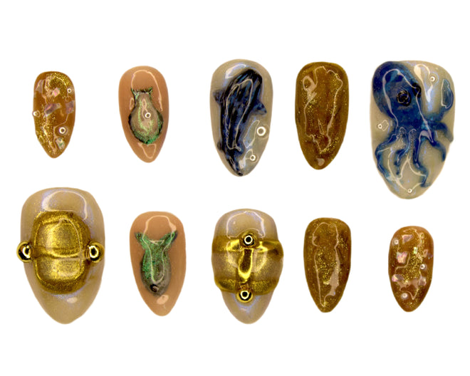 Eva's Sea Critterz Set